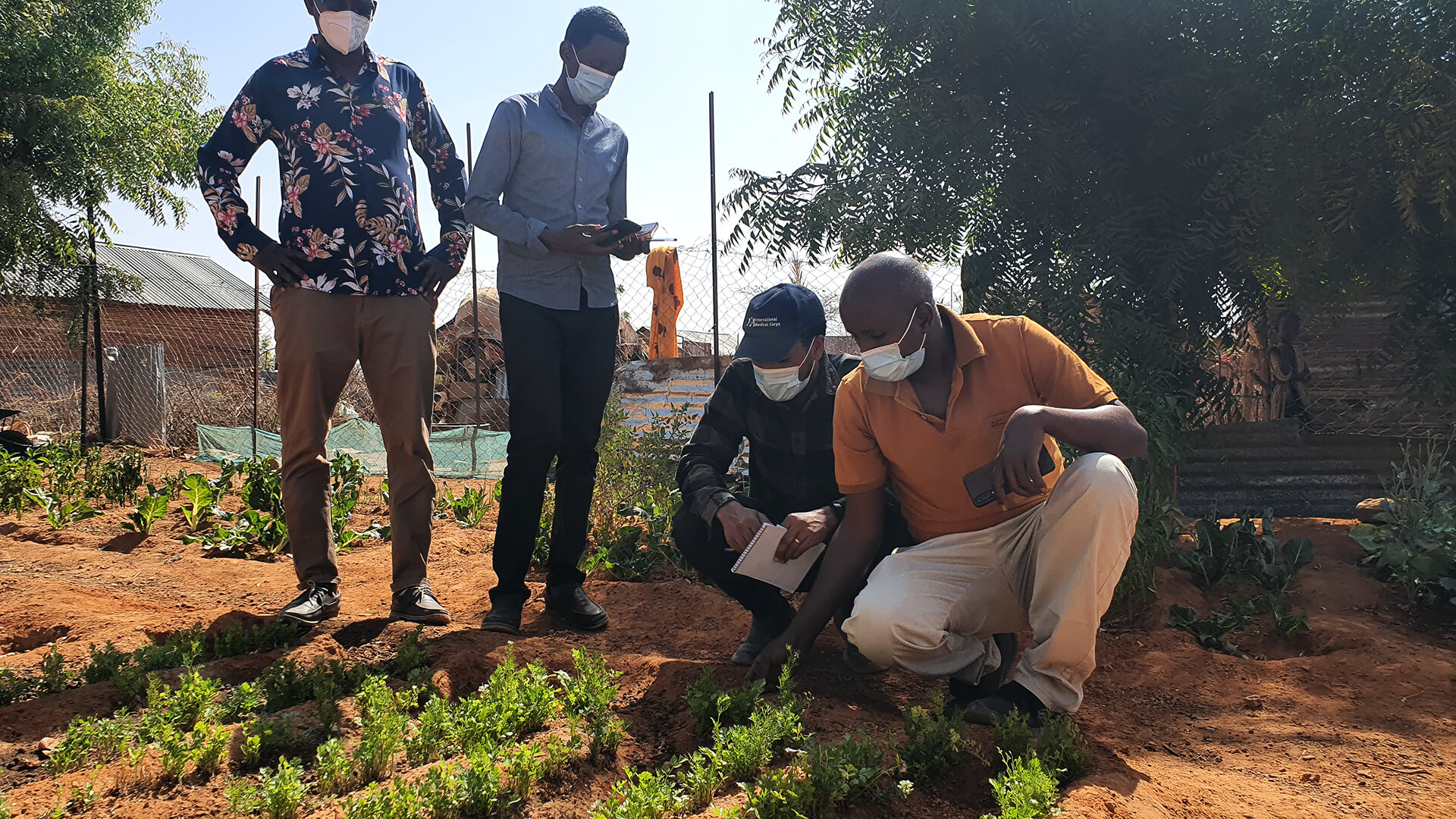 A demonstration plot with vegetable and fruit production at our nutrition site in Dollo Ado refugee camp in Ethiopia. (Photo by Iris Bollemeijer.)