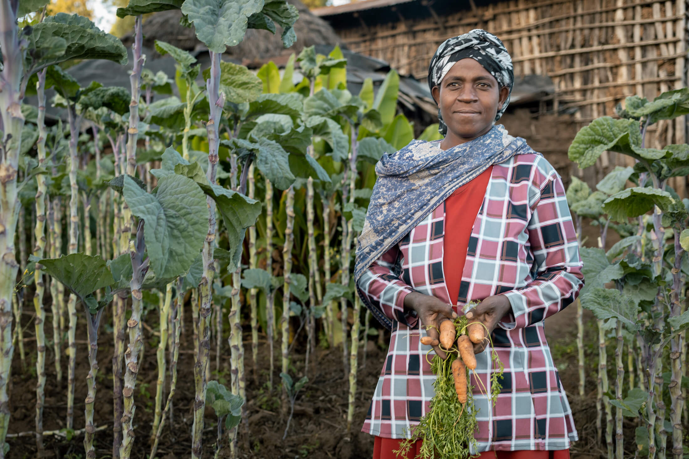 ETH_Abebech-Elimo-a-seeds-distribution-beneficiary-at-her-farm-in-Fango-Koyisha-village,-Ethiopia Abebech Elimo holds carrots in her backyard garden.