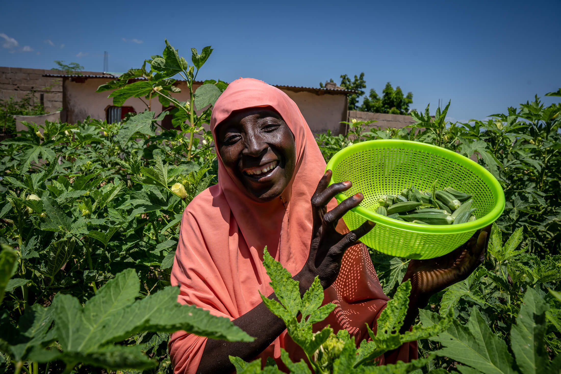 ETH_EKPU_IMC_SHANI_060923_180 Fati Garba showcases some of the okra she grows on her farmland.