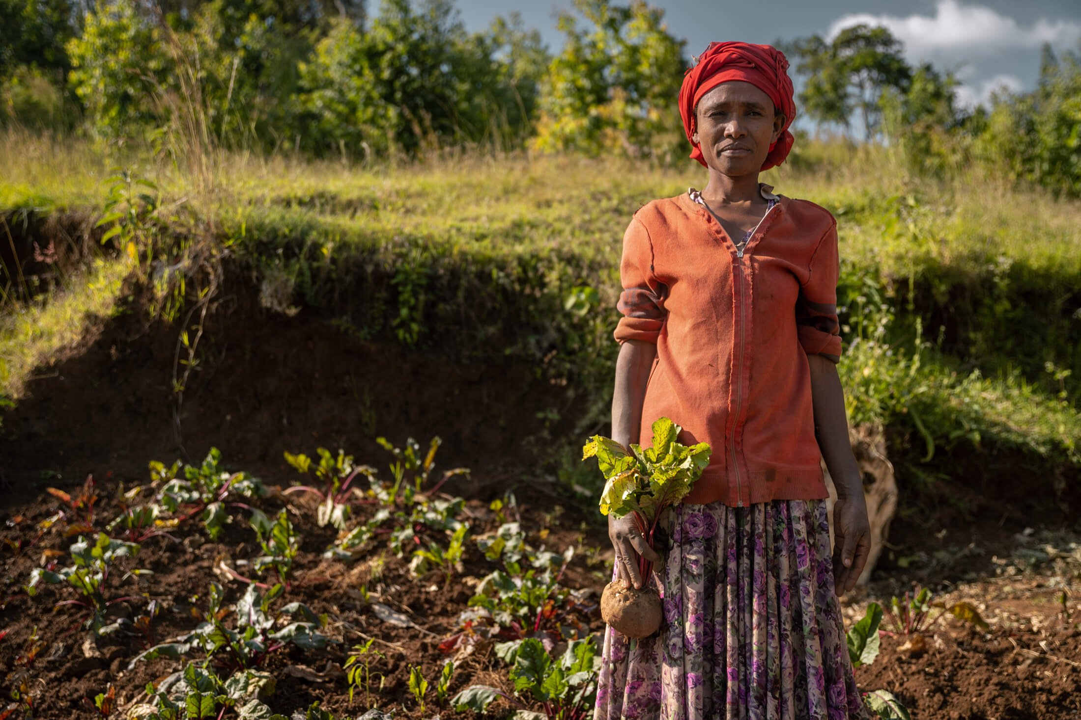 ETH_Eshale-Alambo-a-seed-distribution-beneficiary-in-her-farm-in-Damot-Dugina-Shinka-village-in-Ethiopia.-Photo---Elphas-NgugiIMC-Nov-2023 Eshale stands in her garden, where she’s learned to grow a variety of crops that support her family’s health and nutritional needs.