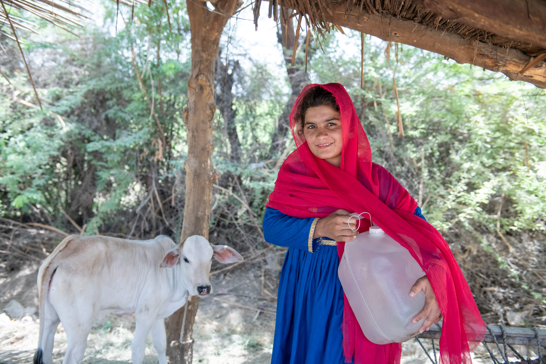 16-year-old Naseem lives in Waryal Shah A village. She and her family now have enough clean water to support some livestock and a small garden at their home—including the cow behind her, which gives them fresh, nutritious milk to drink.