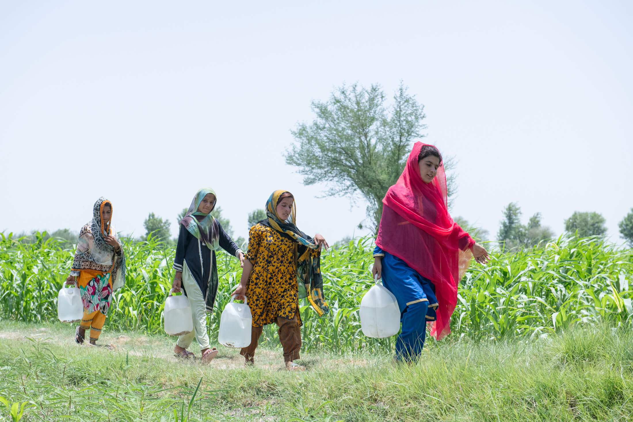 Naseem and other girls from her village bring water back to their homes from the nearby water supply system, installed by International Medical Corps.